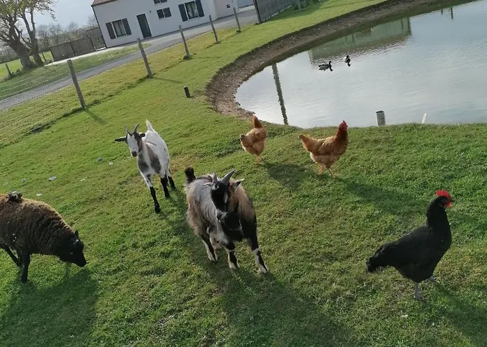 La Gordoniere - A En Vendee Ferienhaus *